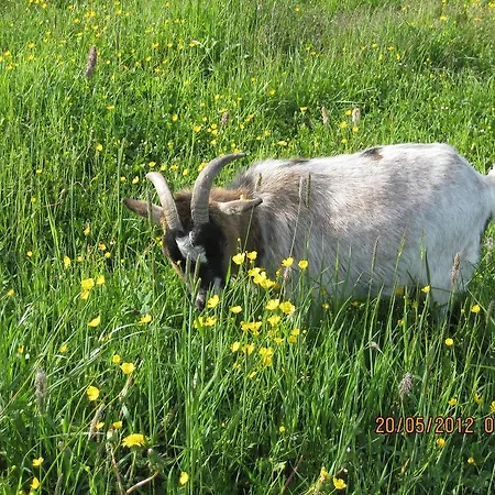 Hausernhof Farm stay *